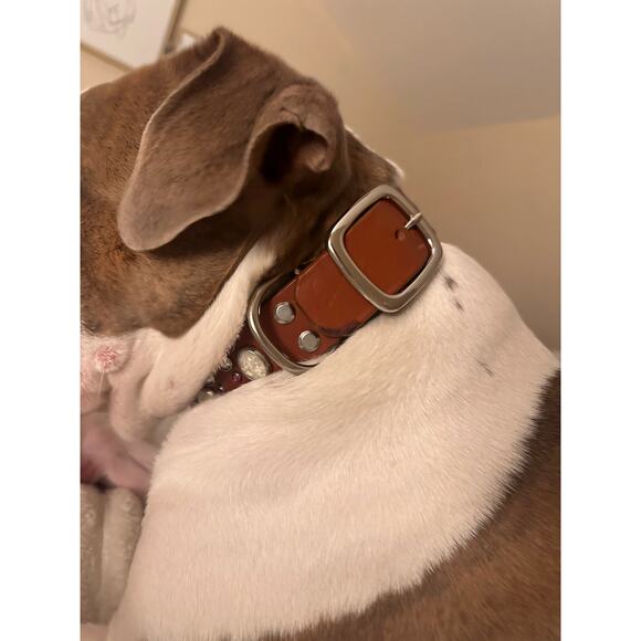 Leather boutique Dog collar Genuine Pittie 1.5" x 23” rhinestones pearl custom - Picture 3 of 7